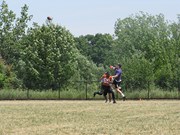 OTFL Gallery Image